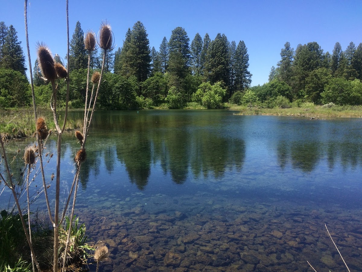 Ahjumawi Lava Springs State Park