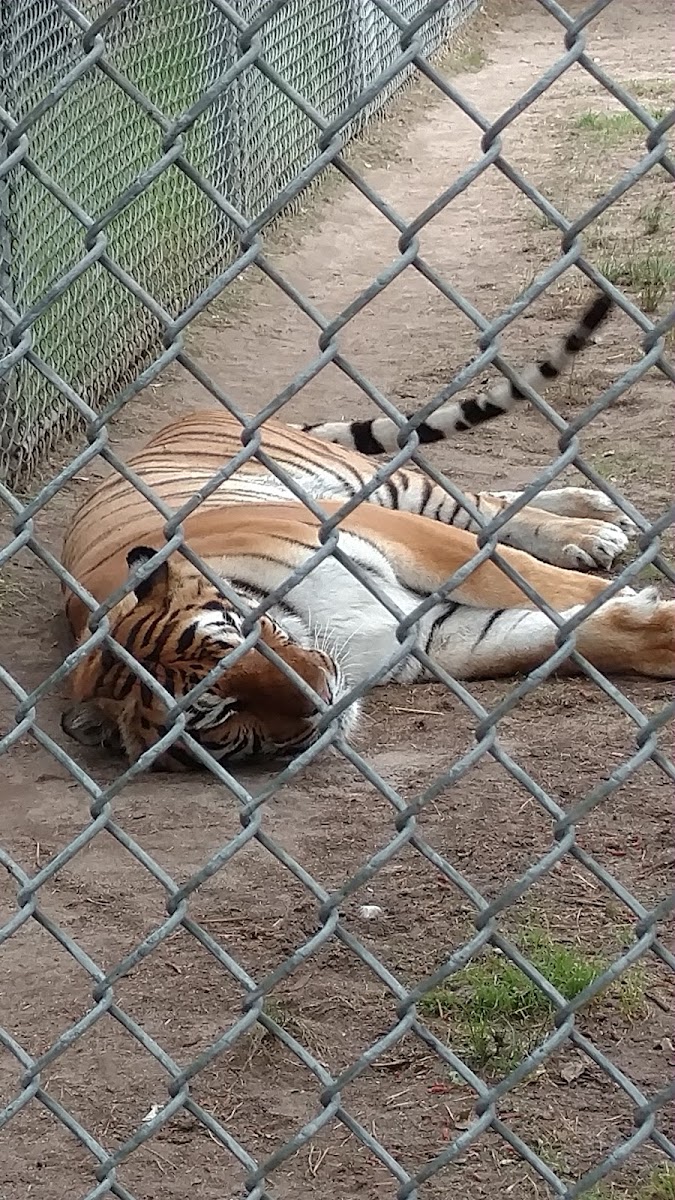 Popcorn Park Animal Refuge