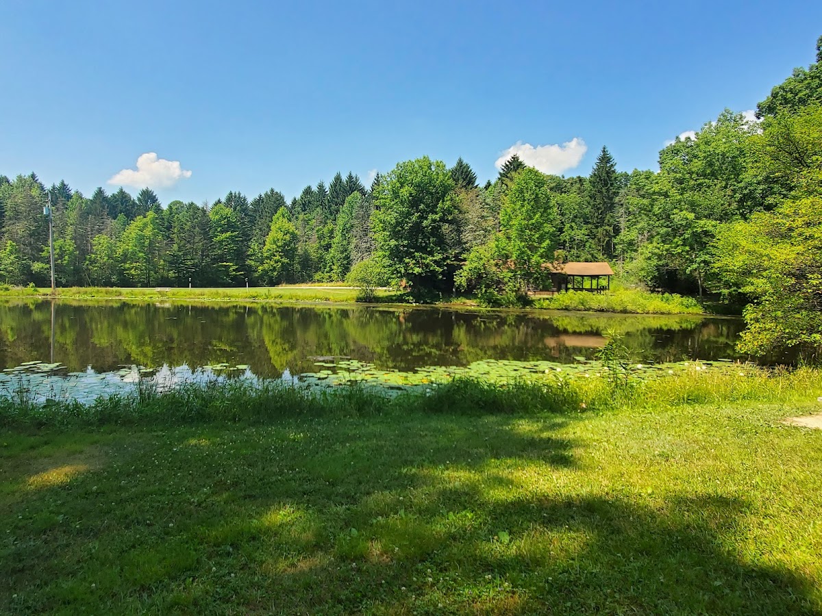 Swine Creek Lodge photo 2
