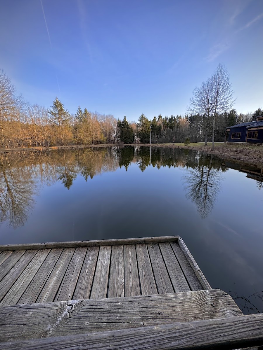 Swine Creek Lodge photo 3