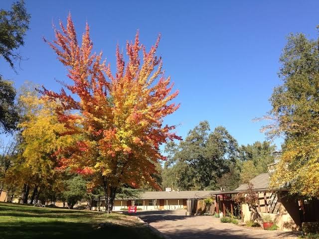 Queens Inn by the River photo 3