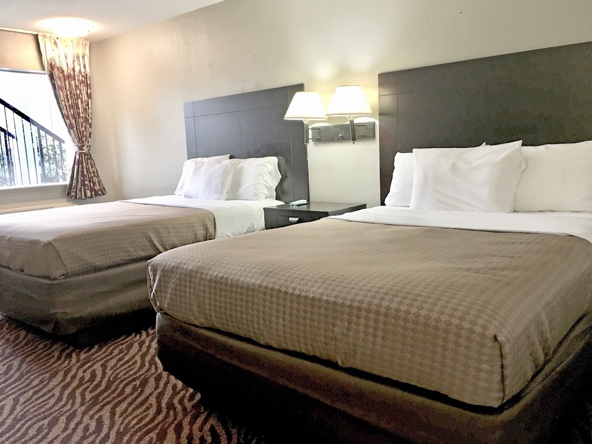 Red Carpet Inn & Suites Danville, VA photo 2