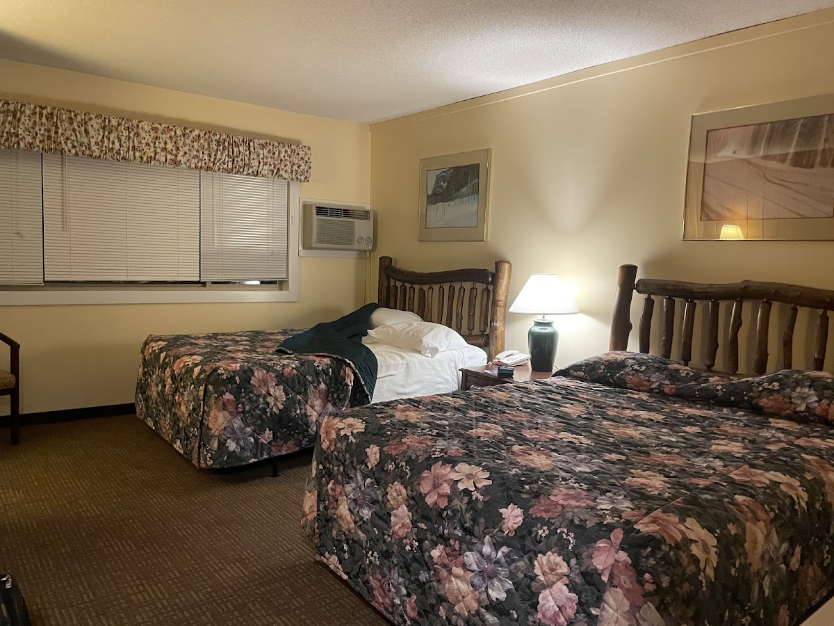 Snowy Owl Inn