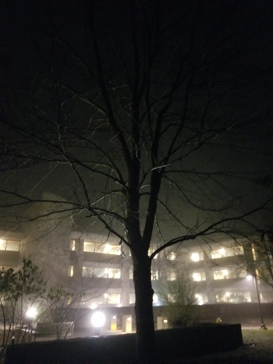 Cedar Hall photo 3