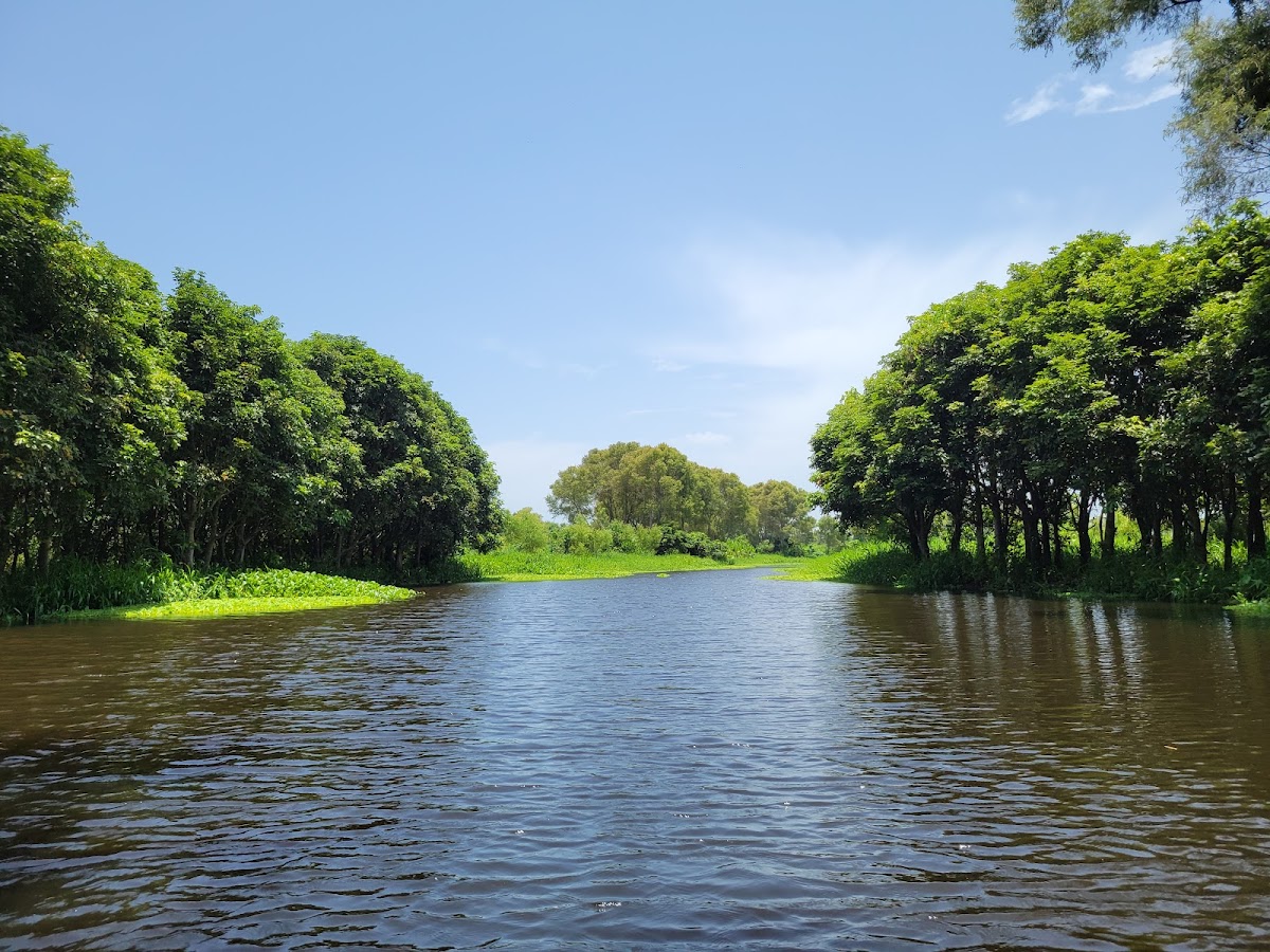Estatal Ciénega del Fuerte Park