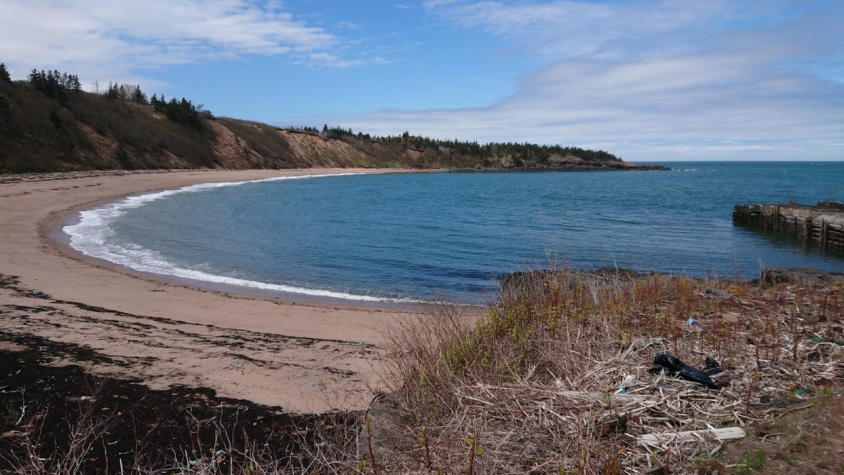 Sandy Cove Beach