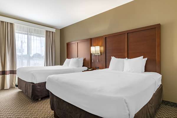 Comfort Suites Medical Center near Six Flags photo 2