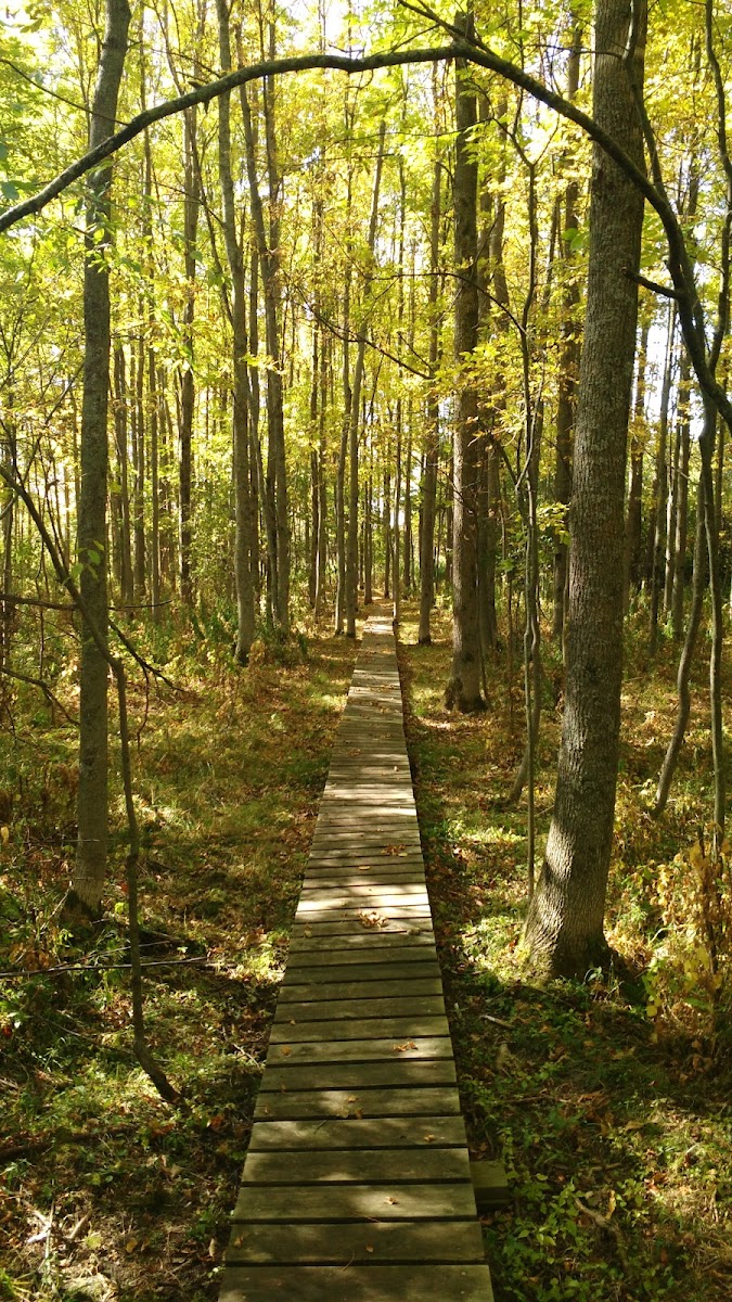 Amis de la réserve nationale de faune du Lac-Saint-François
