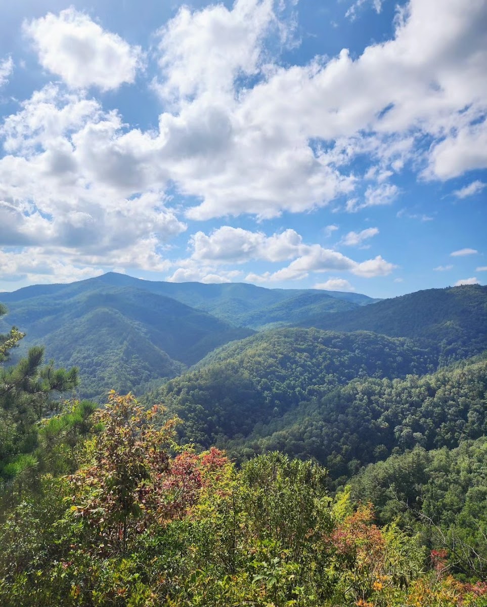 Lamar Alexander Rocky Fork State Park