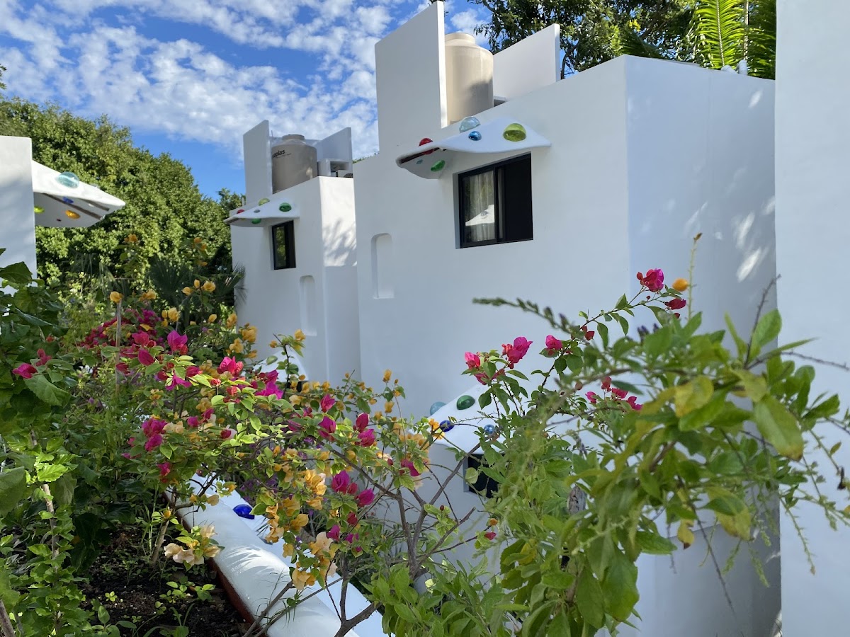 MAISON BACALAR