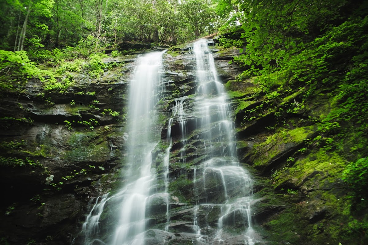 Sill Branch Falls