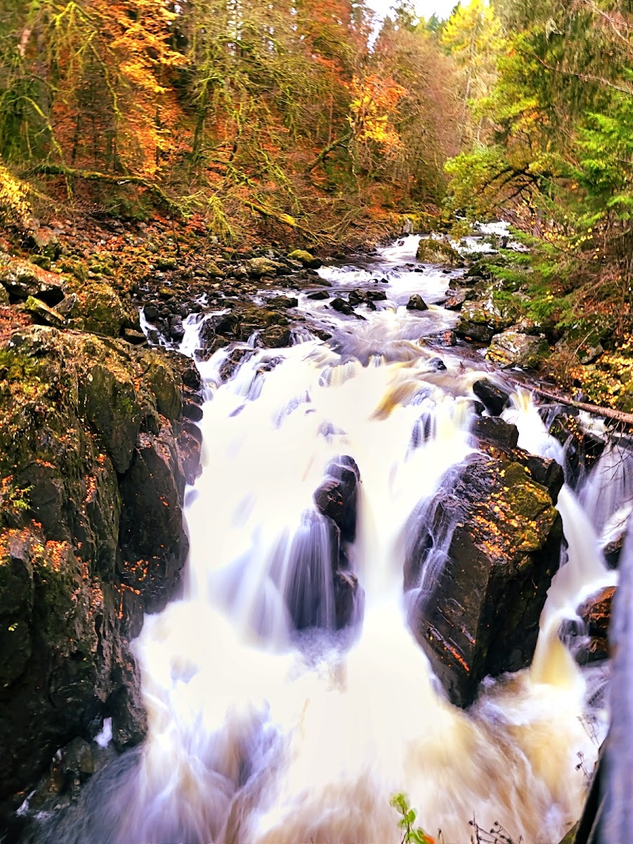 The Hermitage (National Trust for Scotland)