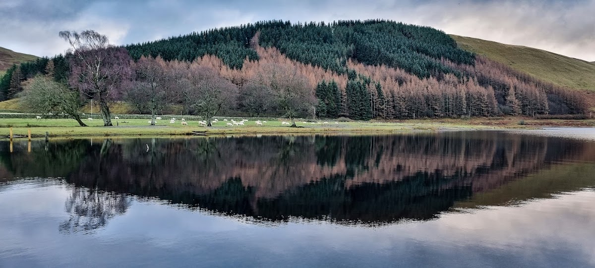 Loch of Lowes