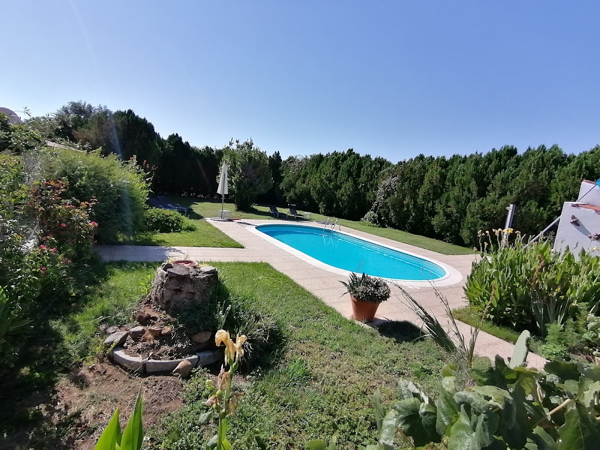 La Carapeteria photo 2