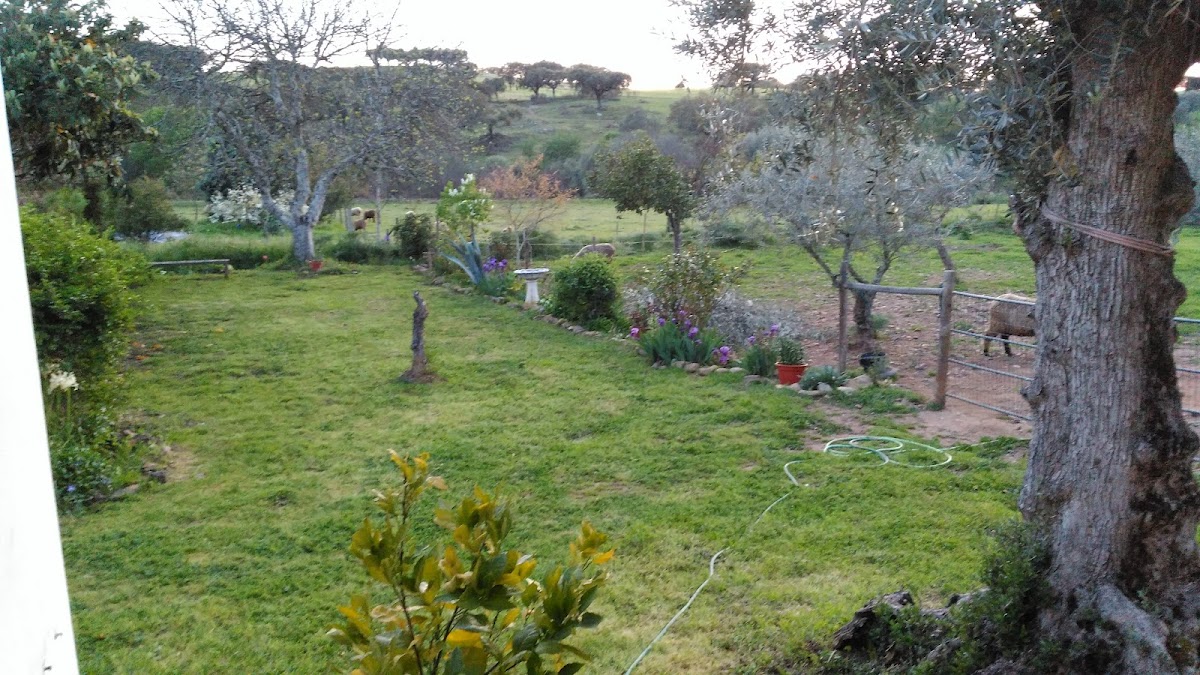 La Carapeteria photo 3