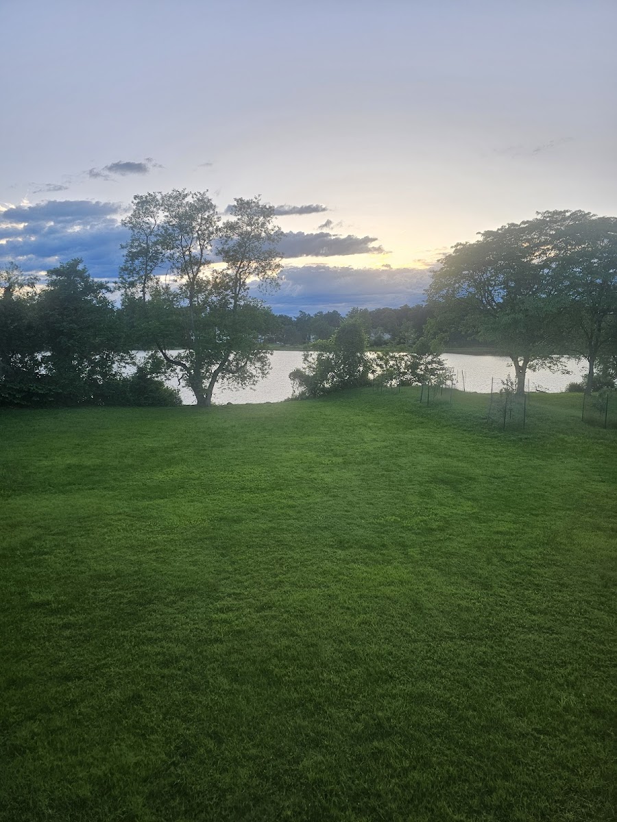 Green Inn Motel on the Lake photo 3