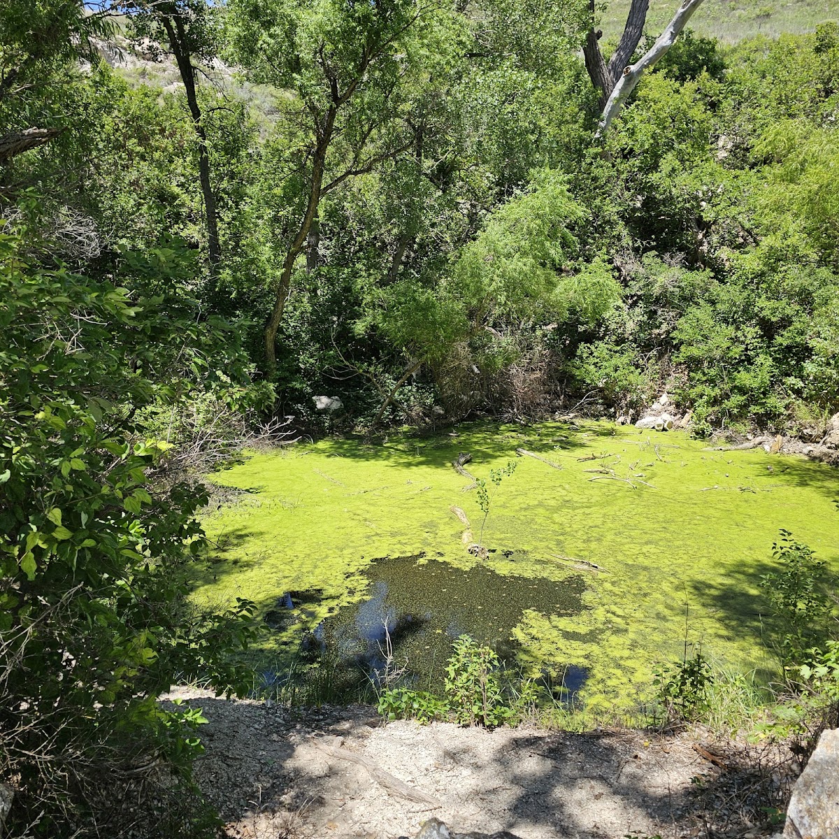 St Jacobs Well