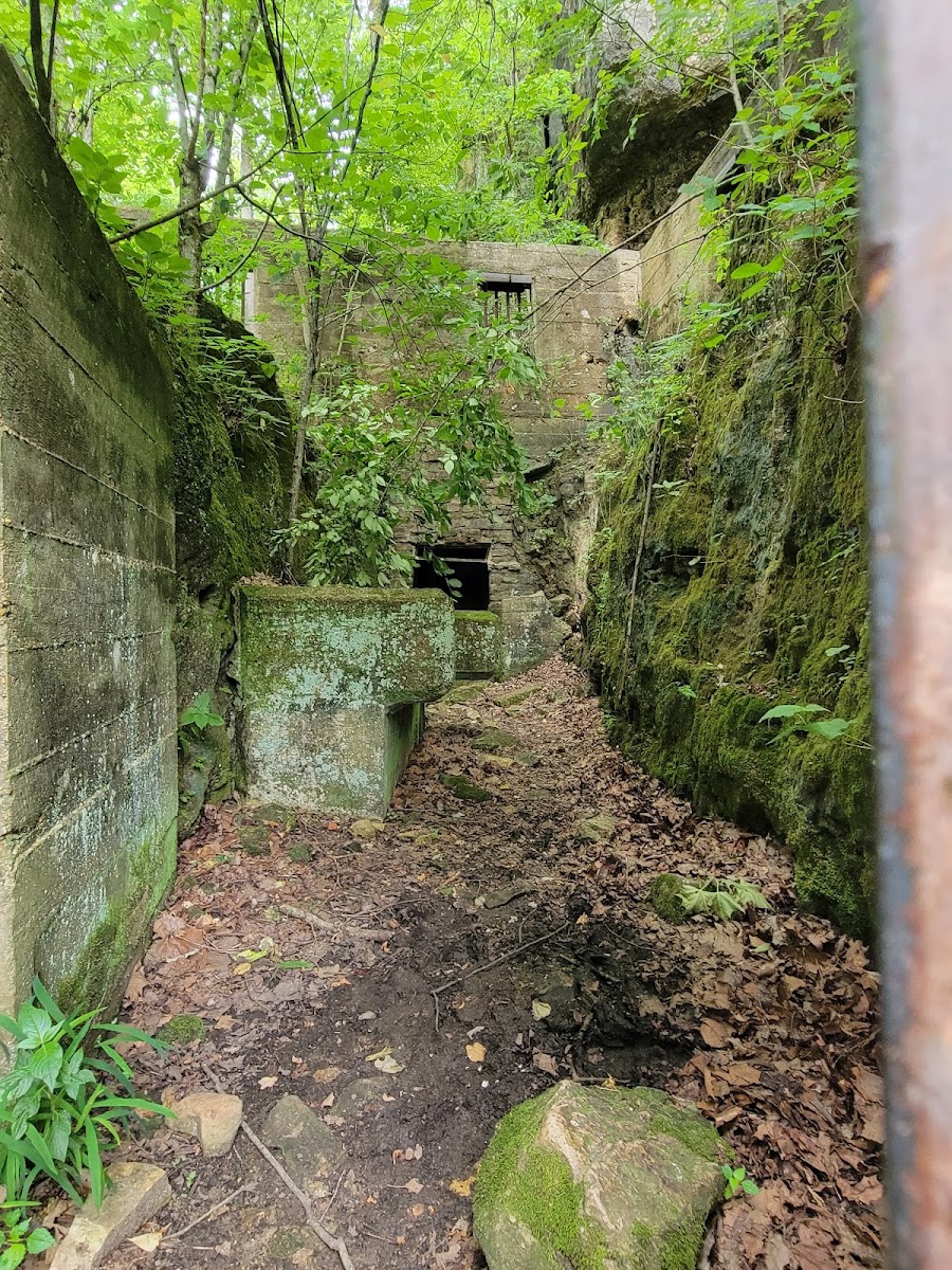 Welch Spring Hospital Ruins