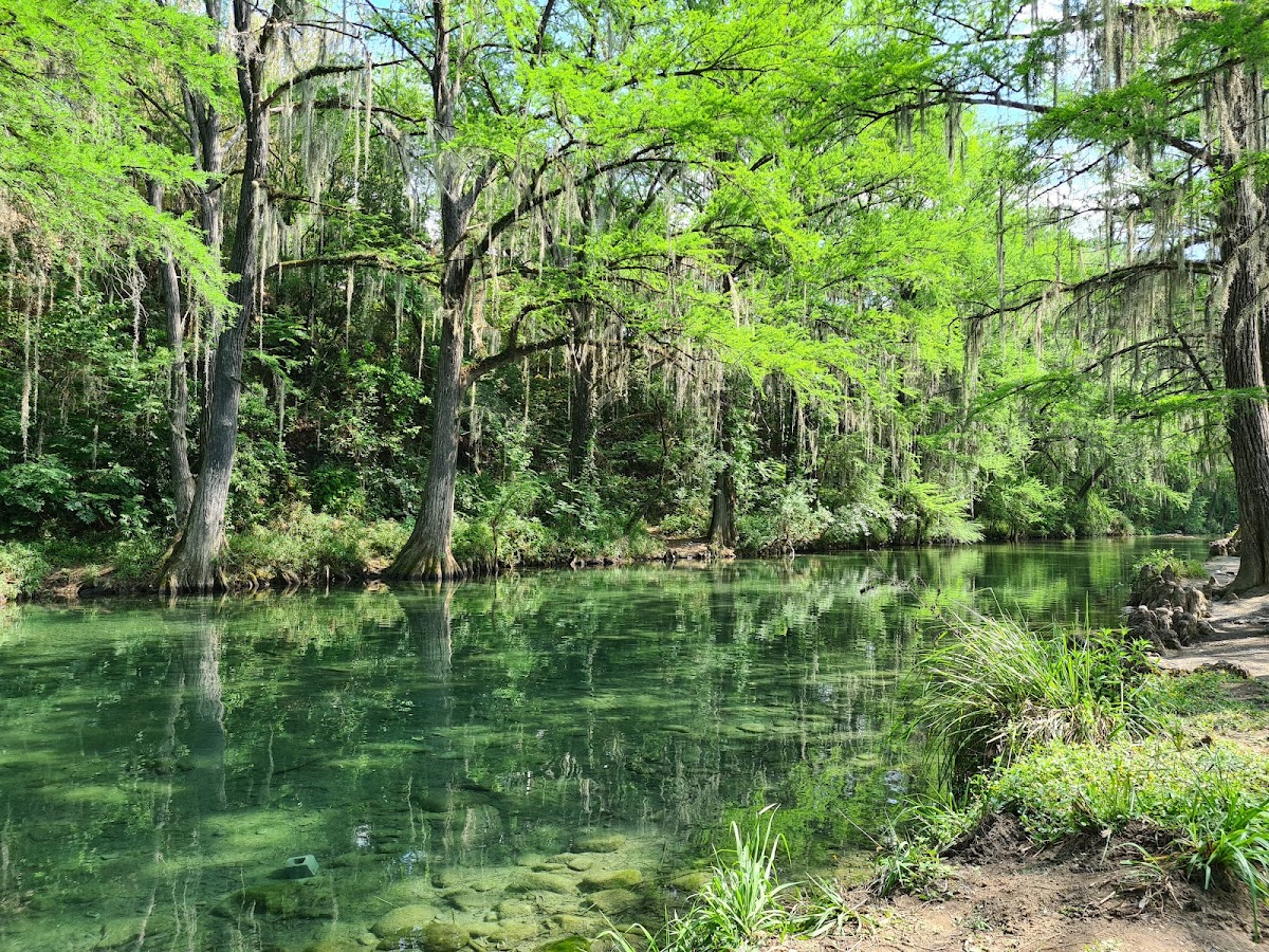 Rio Nuevo Leon Ramos