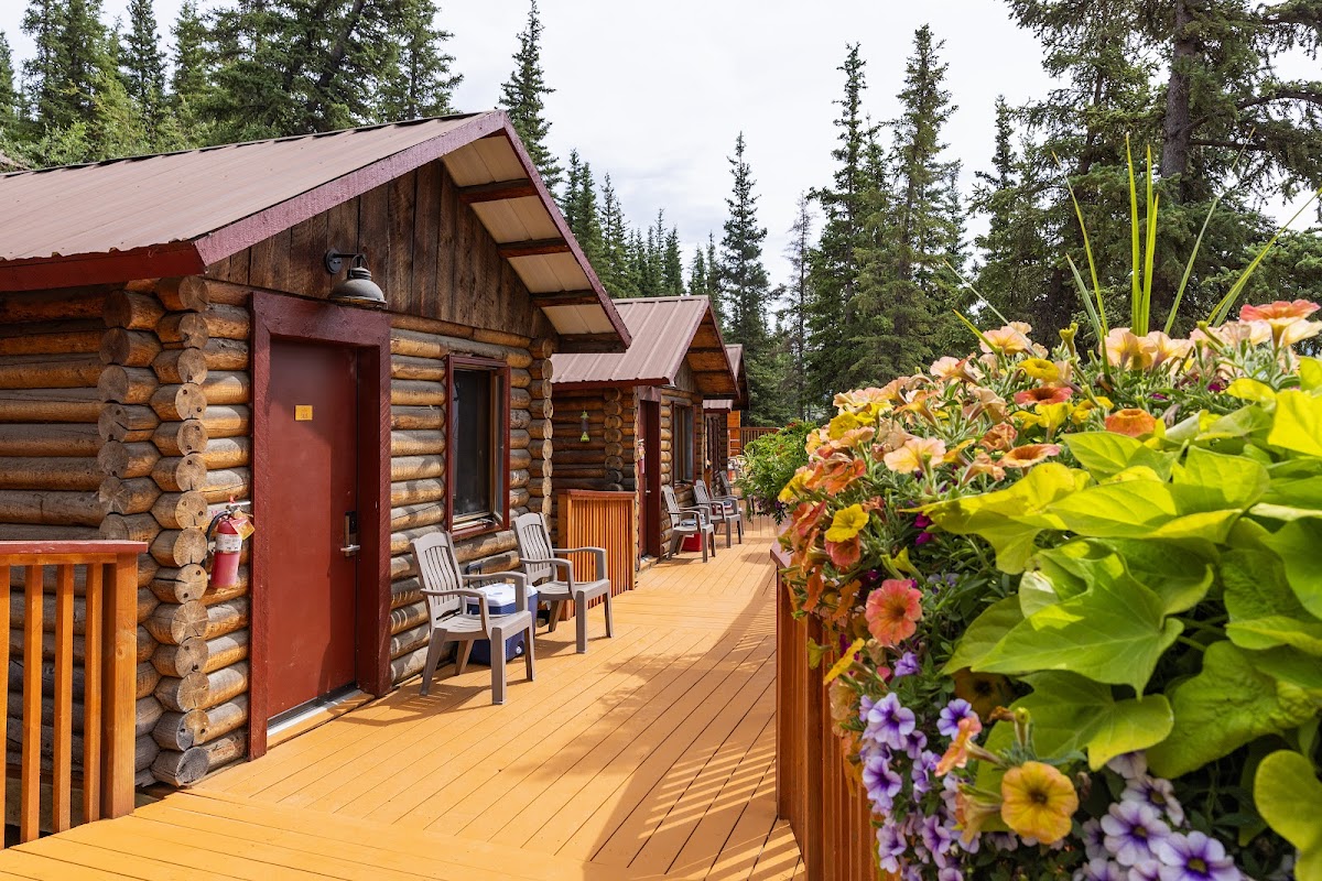Denali Crow's Nest Log Cabins