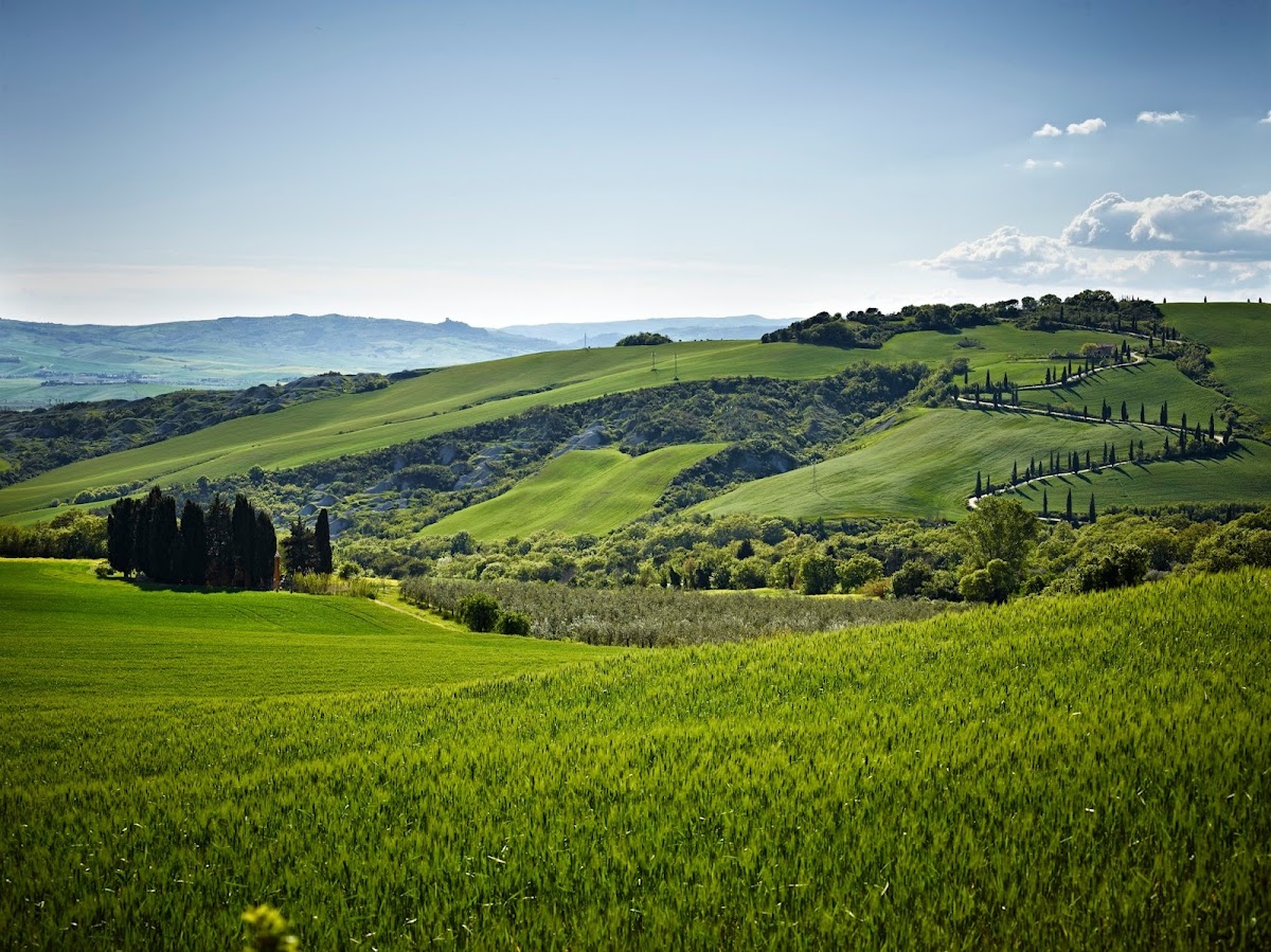 La Foce
