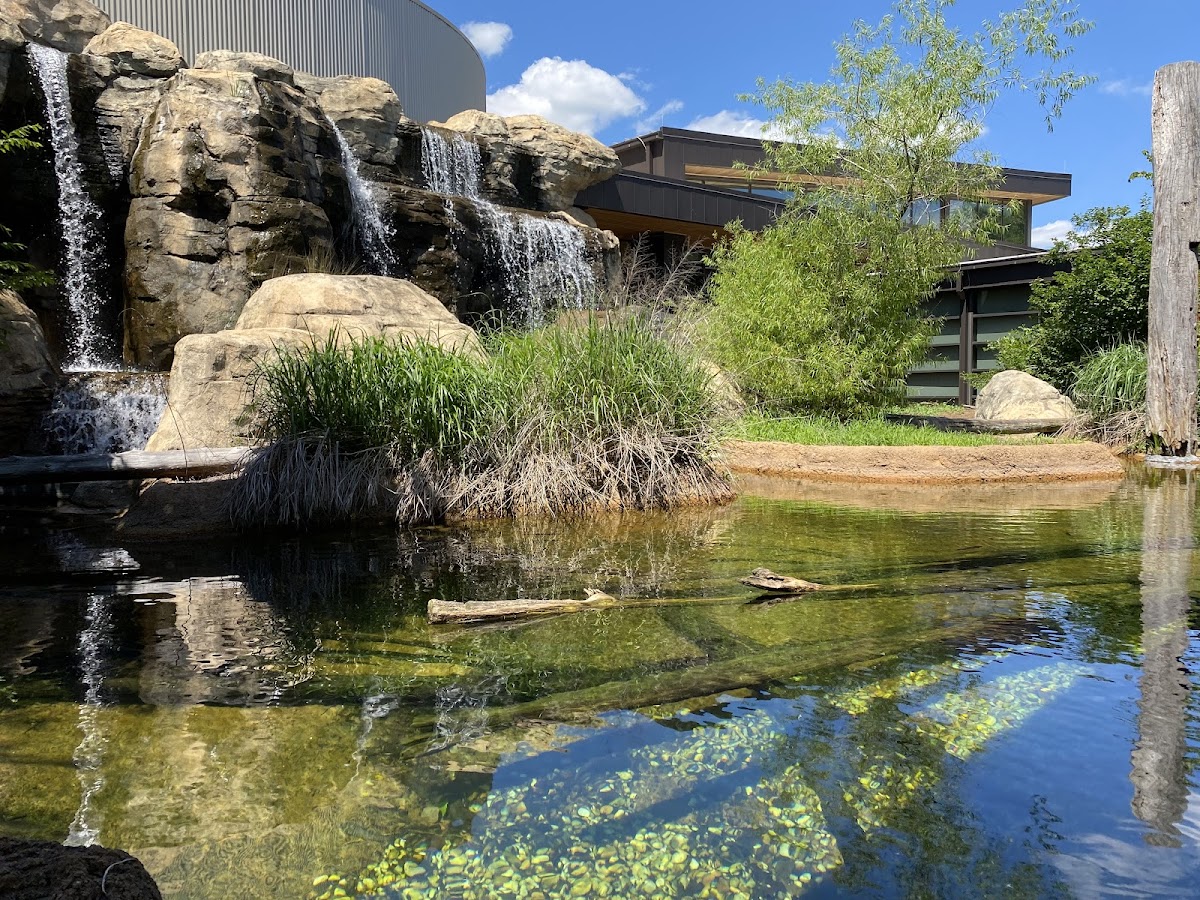 Go Fish Education Center