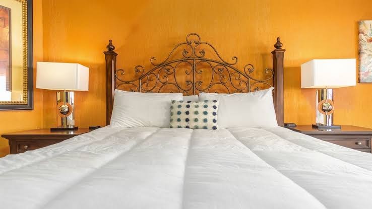 Sonoran Sun Resort photo 3