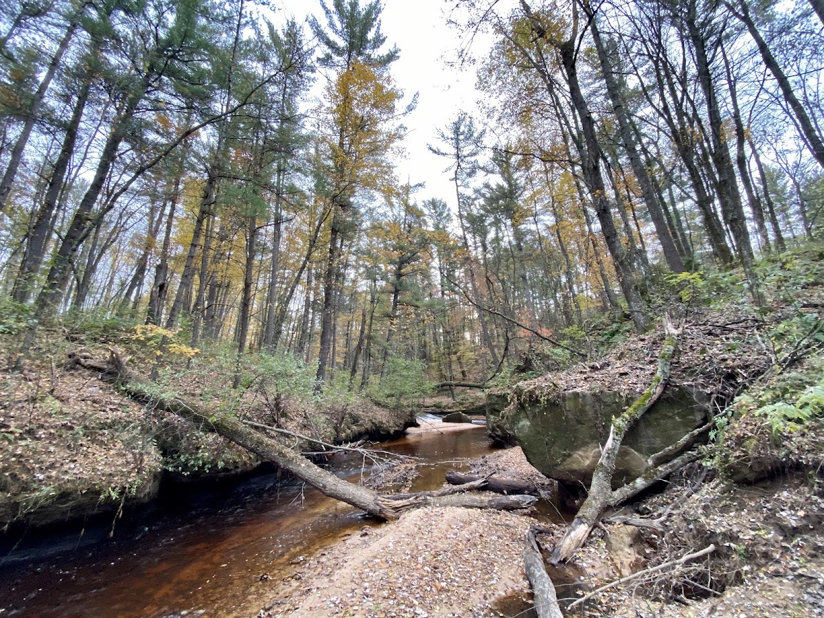 Black River State Forest