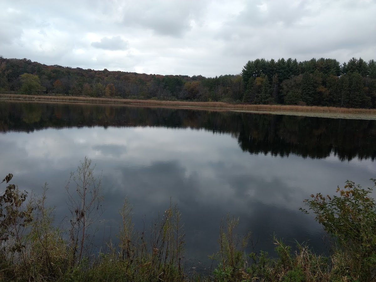 Cadiz Springs State Recreation Area