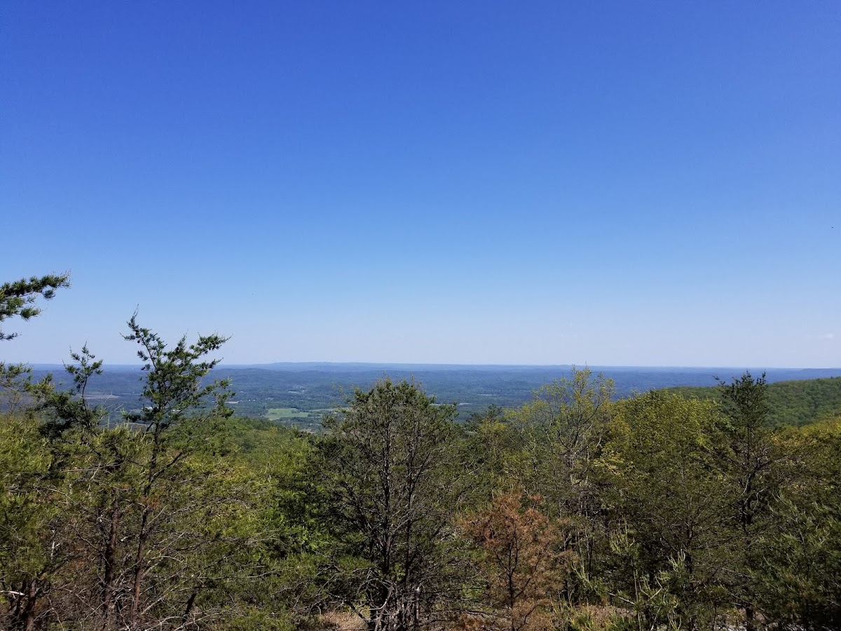 Mountain Longleaf National Wildlife Refuge