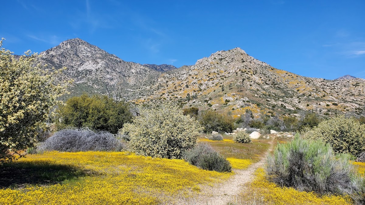 Whiskey Flat Trail