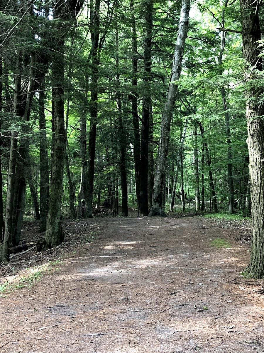 Point Beach State Park Lodge photo 3