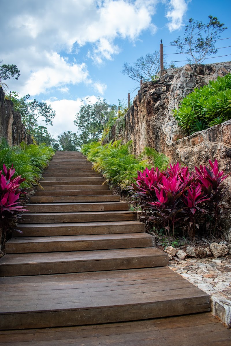 Alma Maya Resort - Riviera Maya photo 3