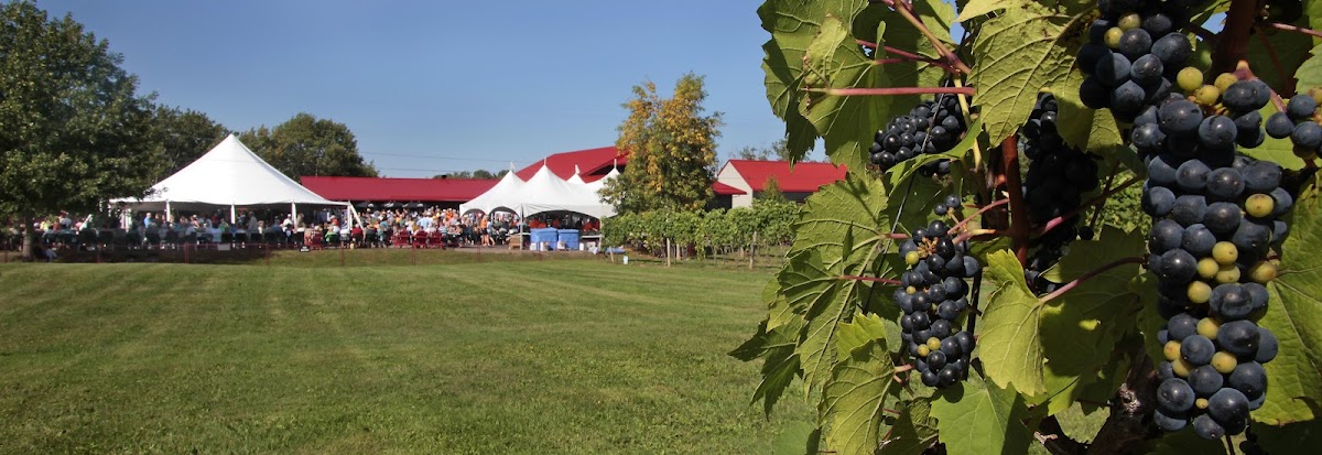 Jost Vineyards