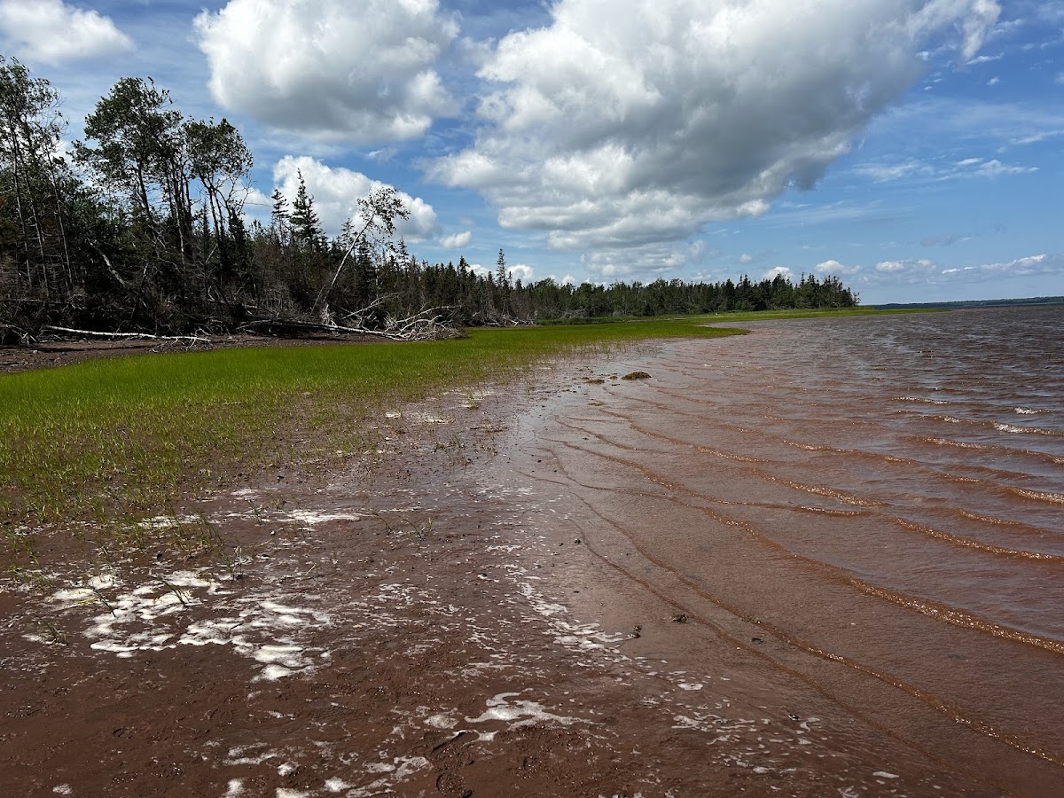Fox Harbour Provincial Park