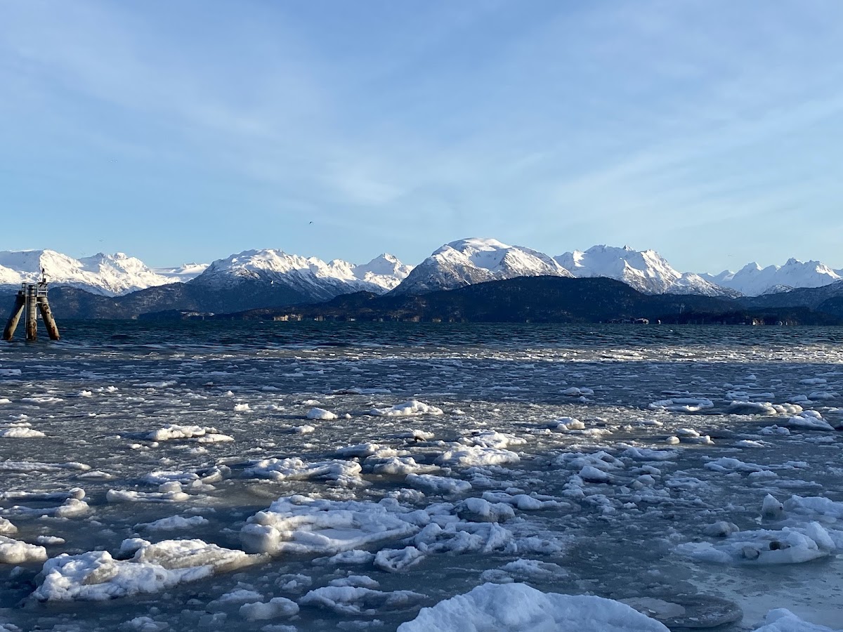 Homer Spit