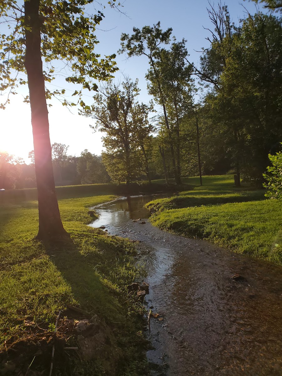 Spring Valley Resort photo 3