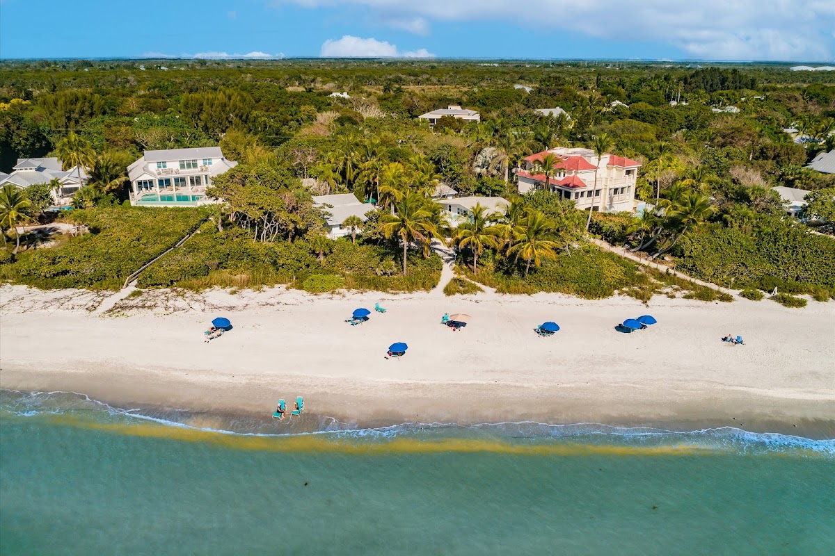 Blue Dolphin Sanibel photo 3
