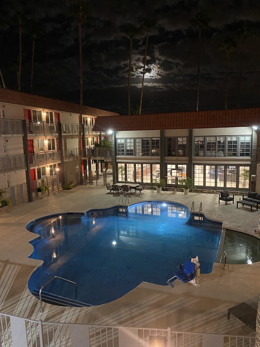 Tempe Oasis photo 3
