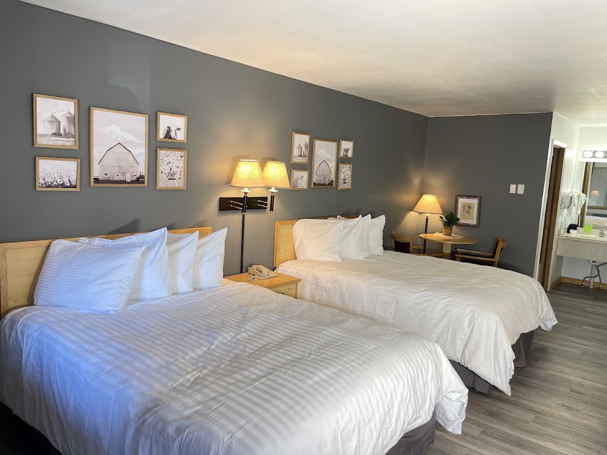 Moose Creek Lodge & Suites photo 2