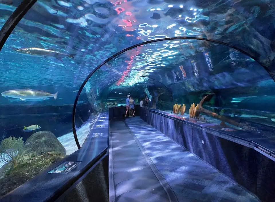 Ripley's Aquarium of Myrtle Beach