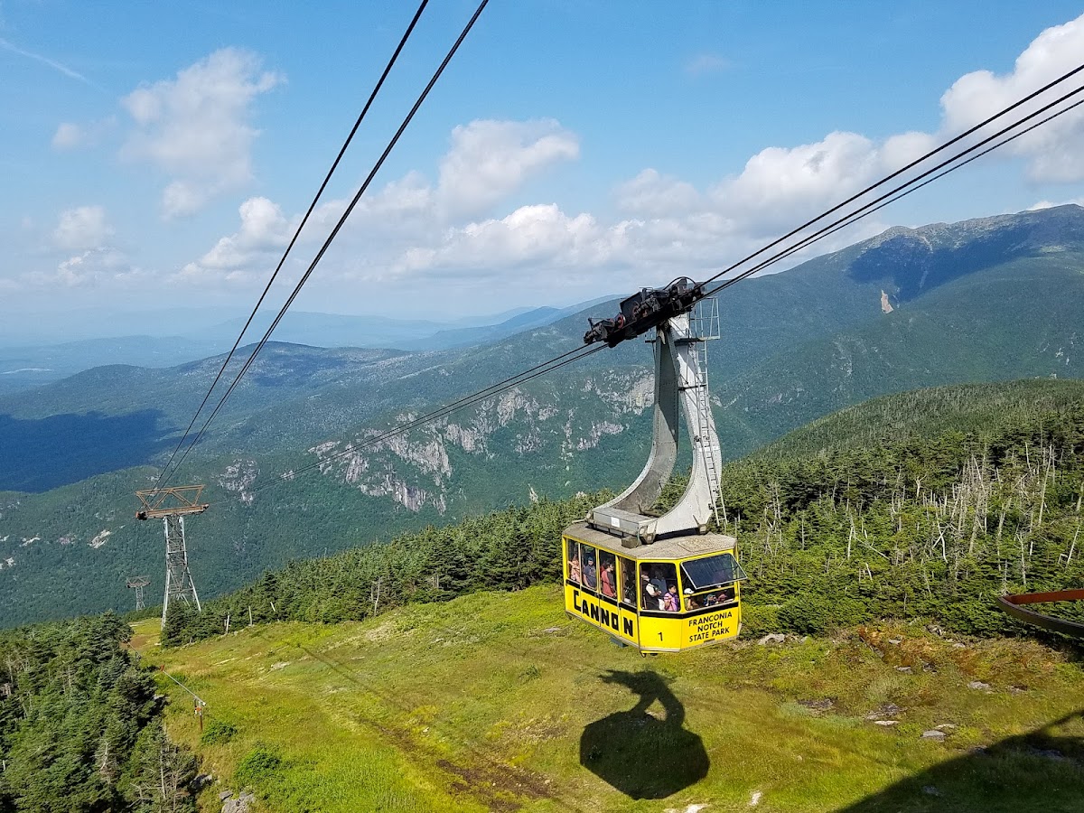 Cannon Mountain