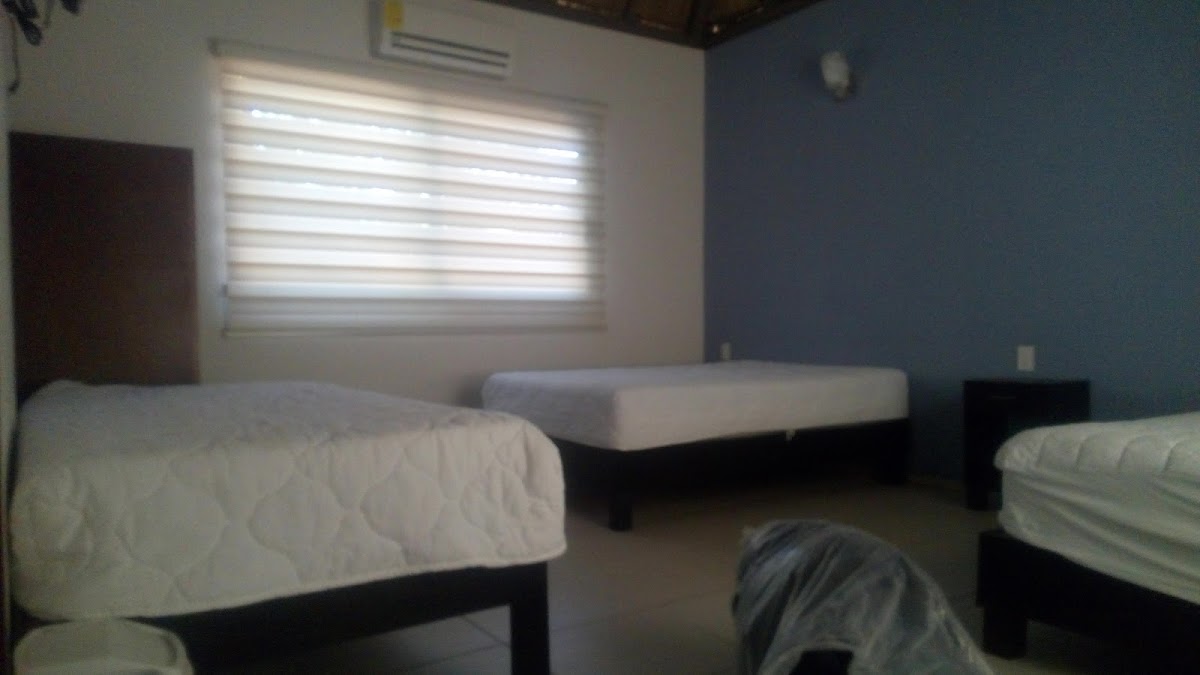 Las Palmeras Surf Resort photo 2