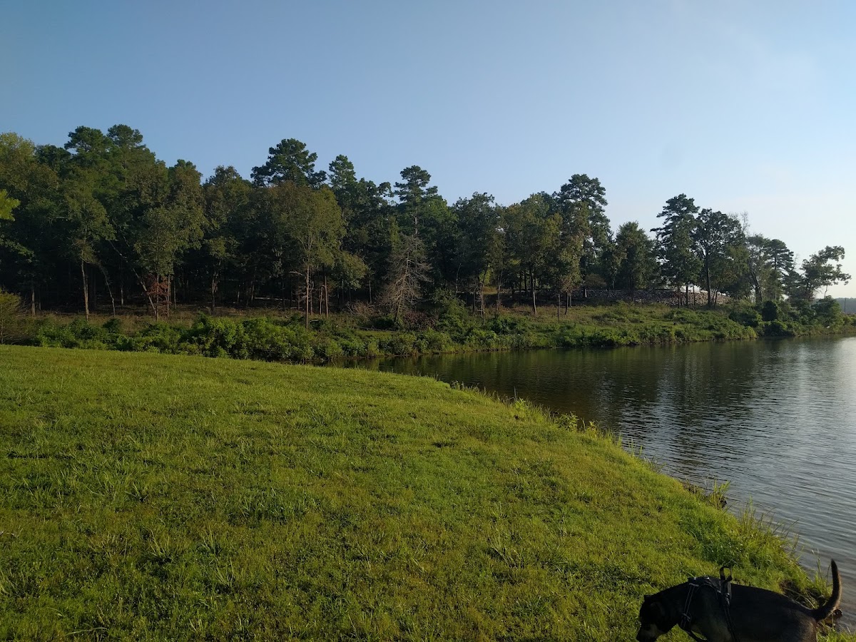 Oak Grove Campground, AR photo 2
