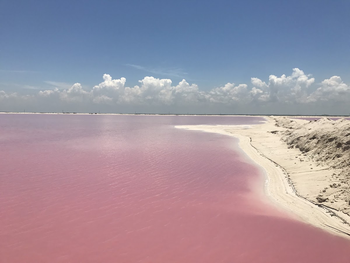 Laguna Rosada
