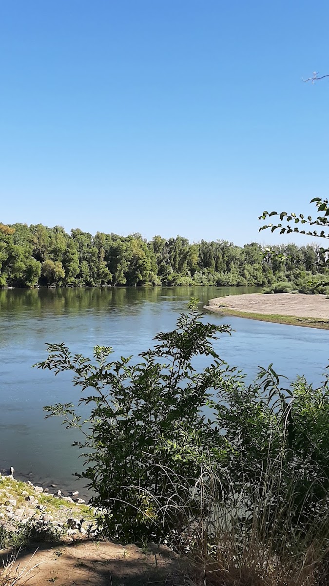 Colusa-Sacramento River State Recreation Area