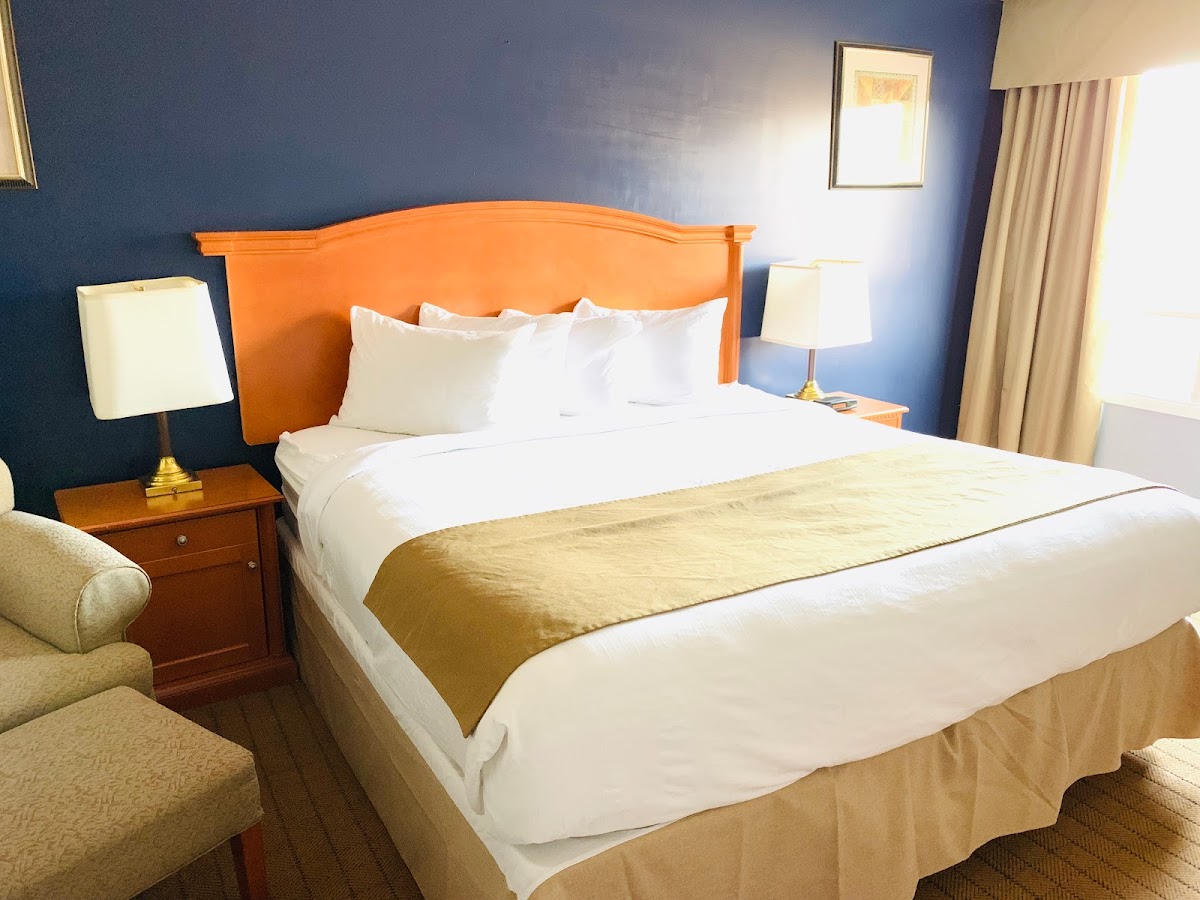 Northern Star Hotel & Convention Center photo 3