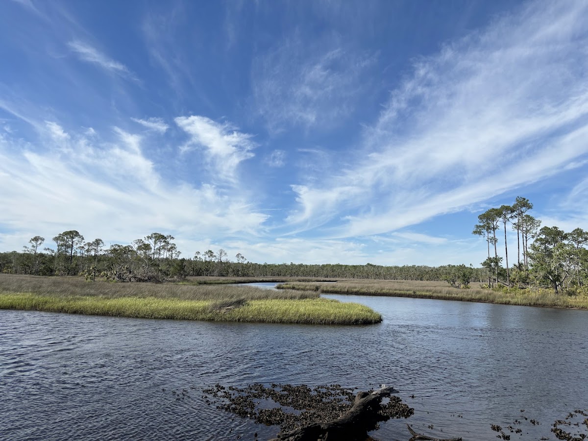Big Bend Wildlife Management Area - Tide Swamp Unit