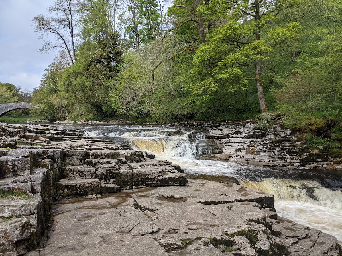 Stainforth Force