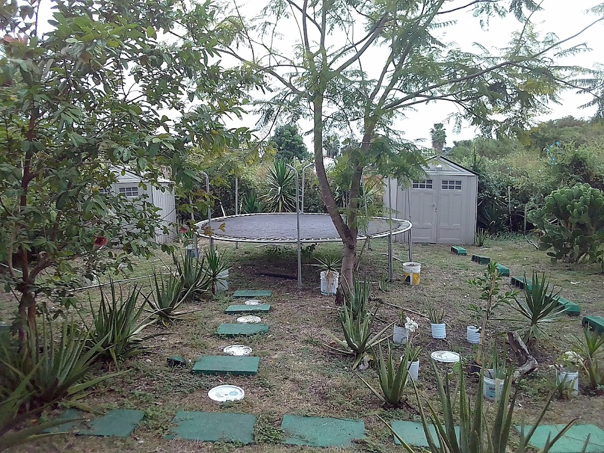 Fraccionamiento las Fincas photo 2
